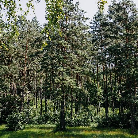 WojtkowaMysliwska Chata Na Skraju Lasu别墅 外观 照片